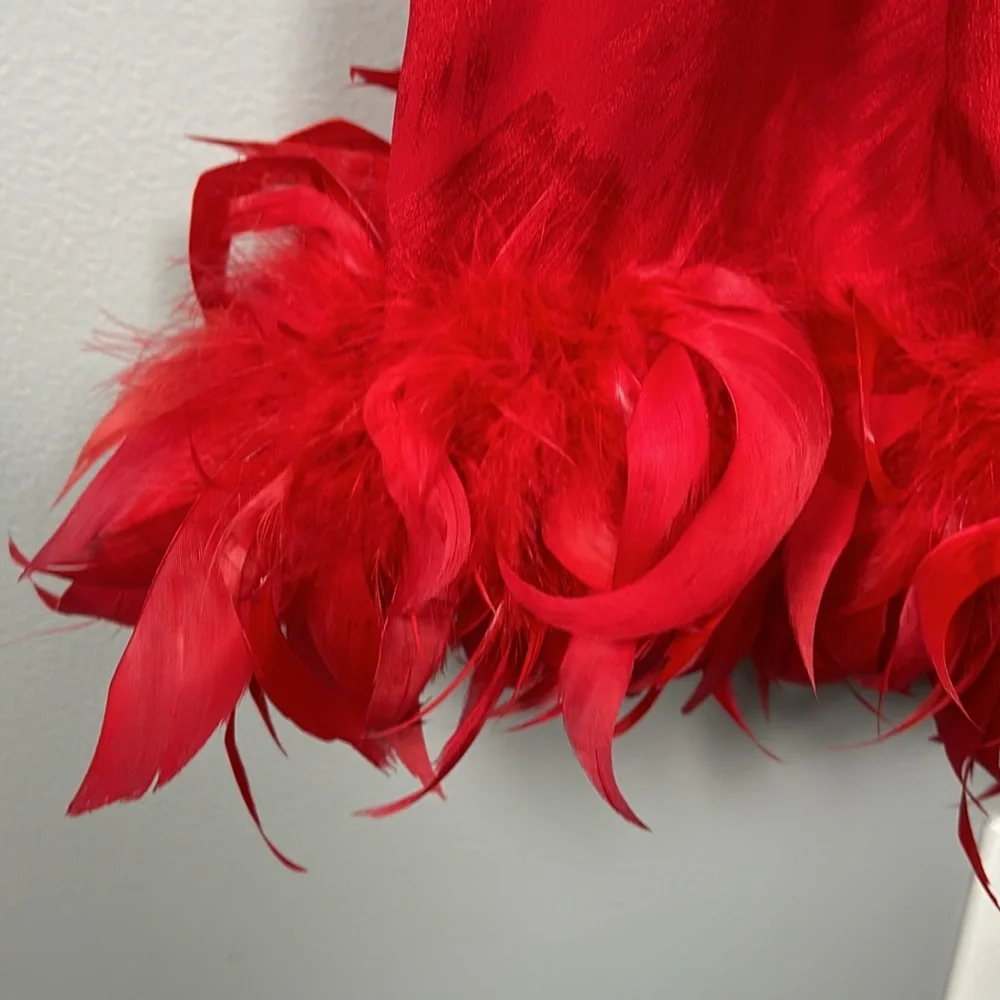 Vintage Women’s Silk Red Shift Dress Faux Feather Hem Necktie Slip on size S - Picture 7 of 17